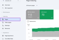 有没有高手指点一下Google做SEO现在的技巧啊？心好累。