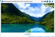 求教，一些网页视频的下载方法？