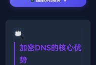 如何彻底解决 DNS 劫持污染？