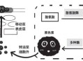 巨有效的美白方法是什么？