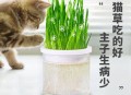 都说「人永远赚不到自己认知之外的钱」，在职场中如何突破这个认知呢？