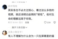 如何看待小猫悟空突然出车祸长眠?