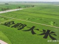 有没有专业人士来解读一下这次的中央一号文件？