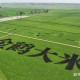 有没有专业人士来解读一下这次的中央一号文件？