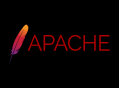 如何在 Apache 中记录请求处理时间？
