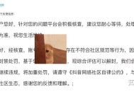 抖音账号被封了如何解封？