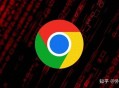 为什么我的chorme浏览器不能用，总是显示以下内容？