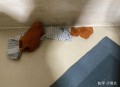 你在出租房屋发现过什么前租客留下的“宝藏”？