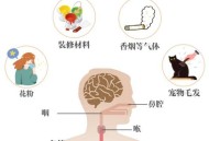 过敏可以有多严重？