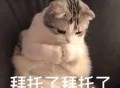 程序员们平时都喜欢逛什么论坛呢？