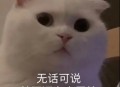 手机买16+256的还是12+512的好?