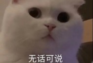 手机买16+256的还是12+512的好?