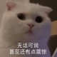 手机买16+256的还是12+512的好?