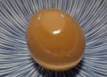 有没有一张图能够证明你会做饭？