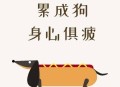 哪些网站帮你打开了新世界的大门？
