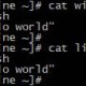 有什么事在windows上显的顺理成章，在Linux上就很令人费解？