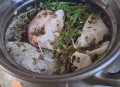脱发都有什么原因造成的？