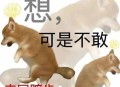 有哪些好的网站，让人第一眼看了就怦然心动，流连忘返？
