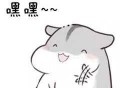 你坚持写知乎的目的是什么？