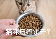 特别好奇，猫一直吃猫粮会不会腻？