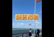 短视频如何快速变现？
