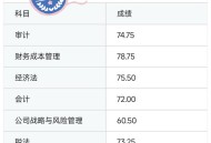 CPA 一次性过六门的人都是怎么做到的？