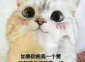 写作新手怎样通过投稿挣钱？