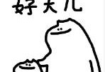 Setup.msi 和 Setup.exe 有什么不同？