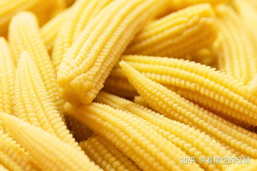 有哪些热量比较低的碳水食物，可以代替主食?  第3张