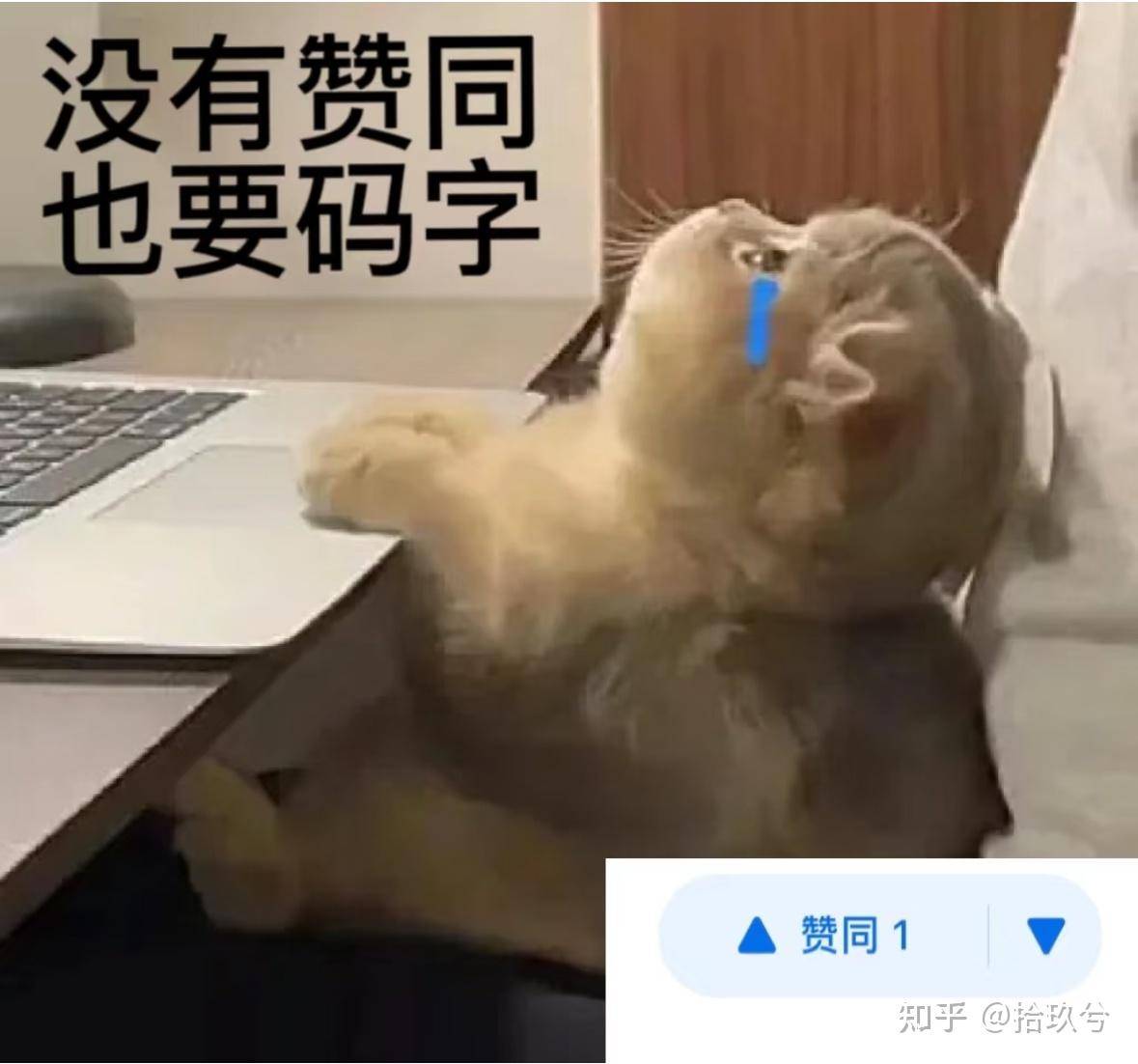 知乎写作一直扑，写不下去了怎么办？  第1张