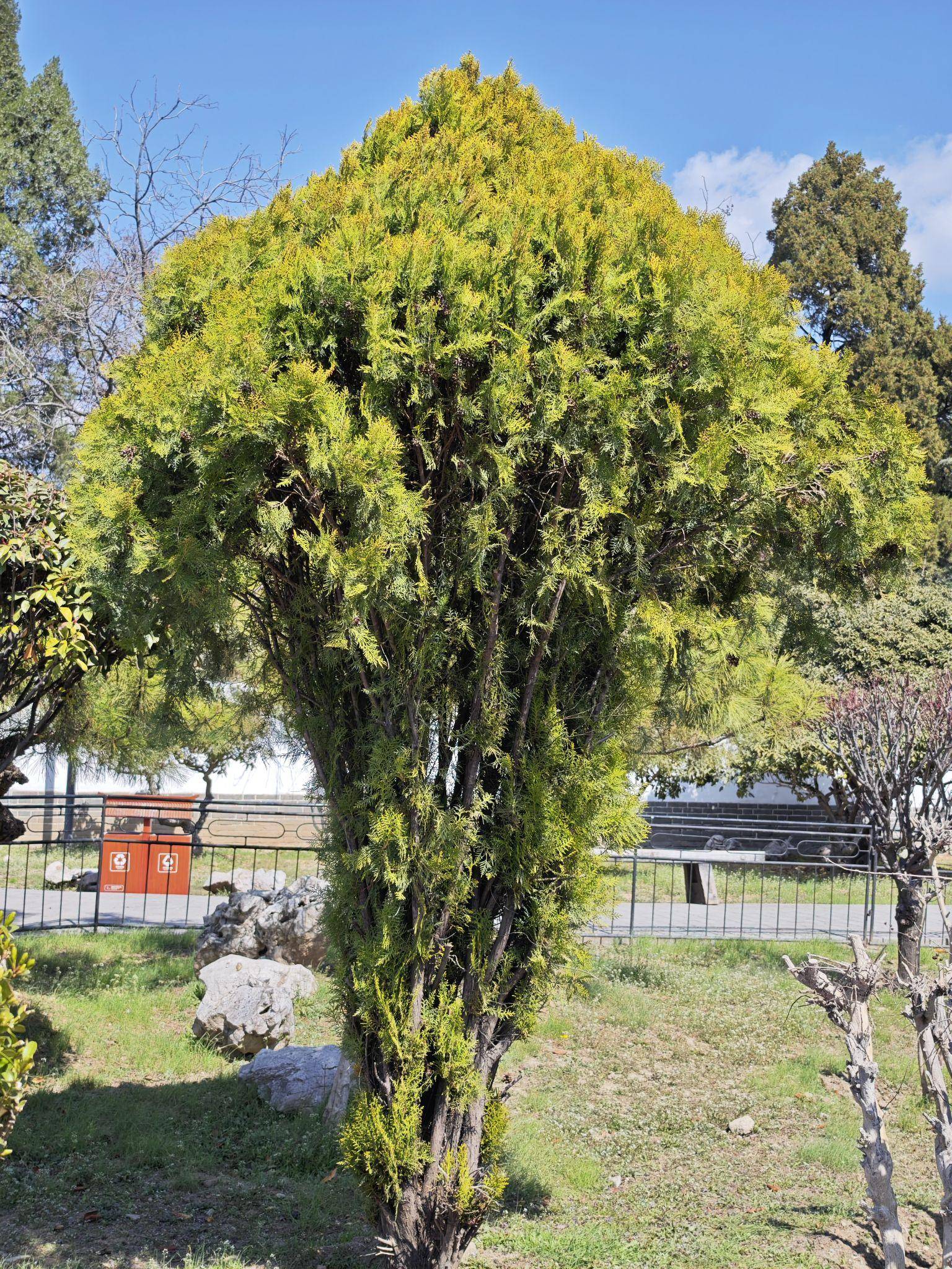 如何评价“孔虐”这个梗？  第22张