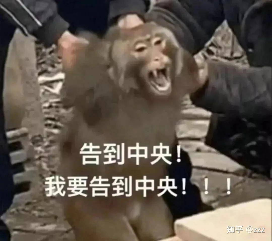 为什么你卸载了小红书？  第1张