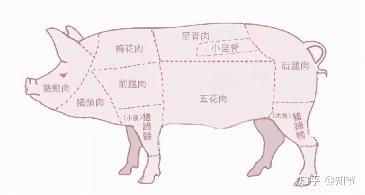 猪哪个部位的肉最好吃？  第11张