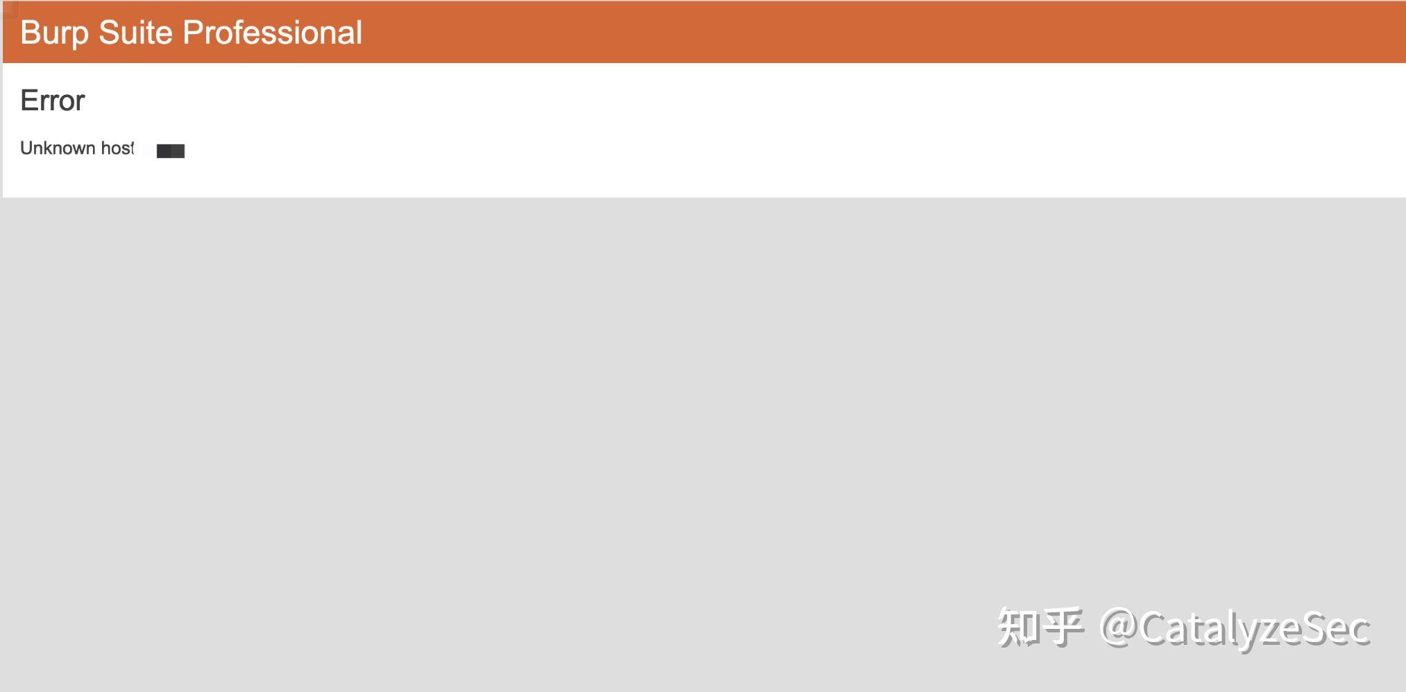 burp suite对于黑客有多重要?  第1张