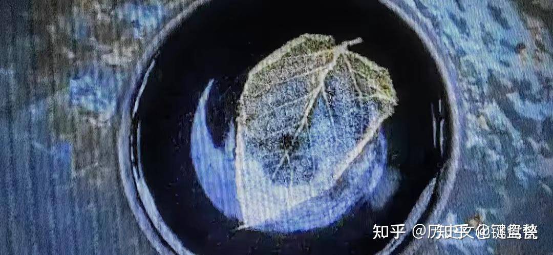 为什么现在的师父不愿意带徒弟了?  第3张