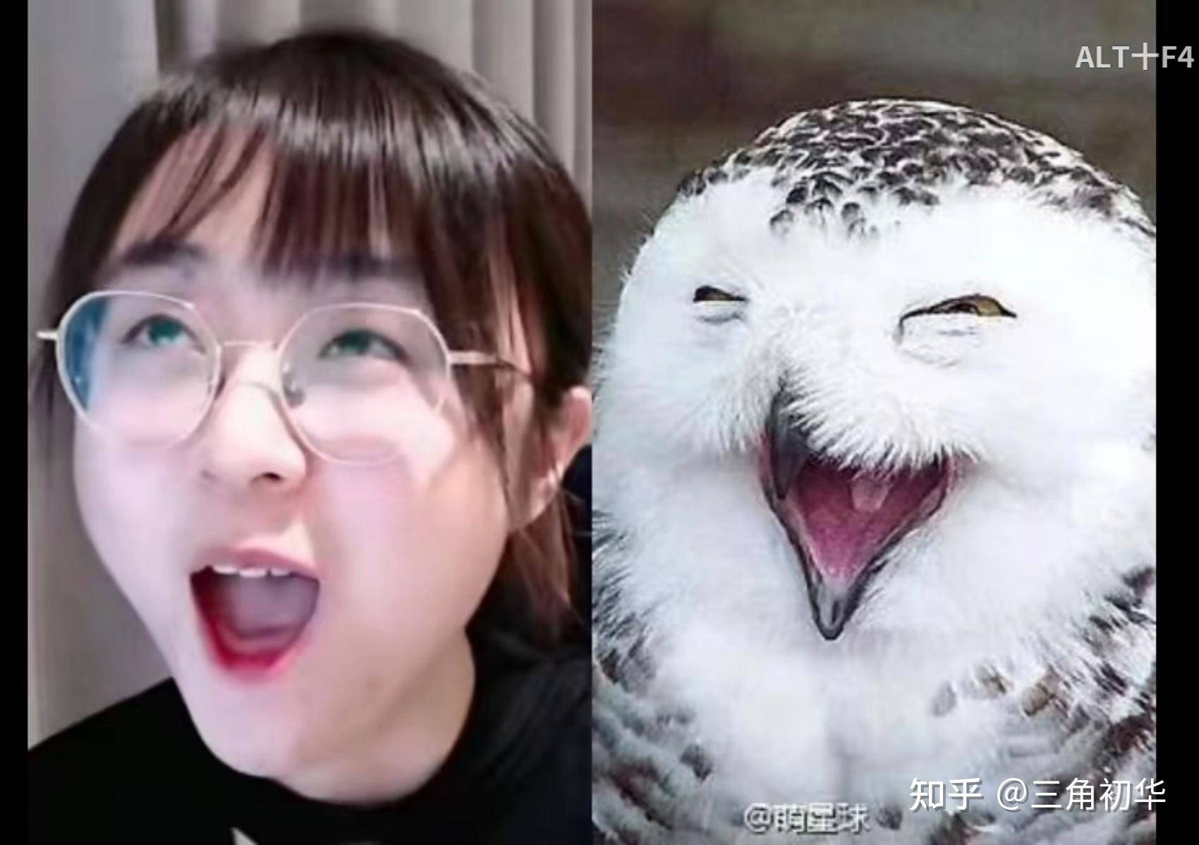 假如战鹰长得一般，还能有今时今日的影响力吗？  第23张