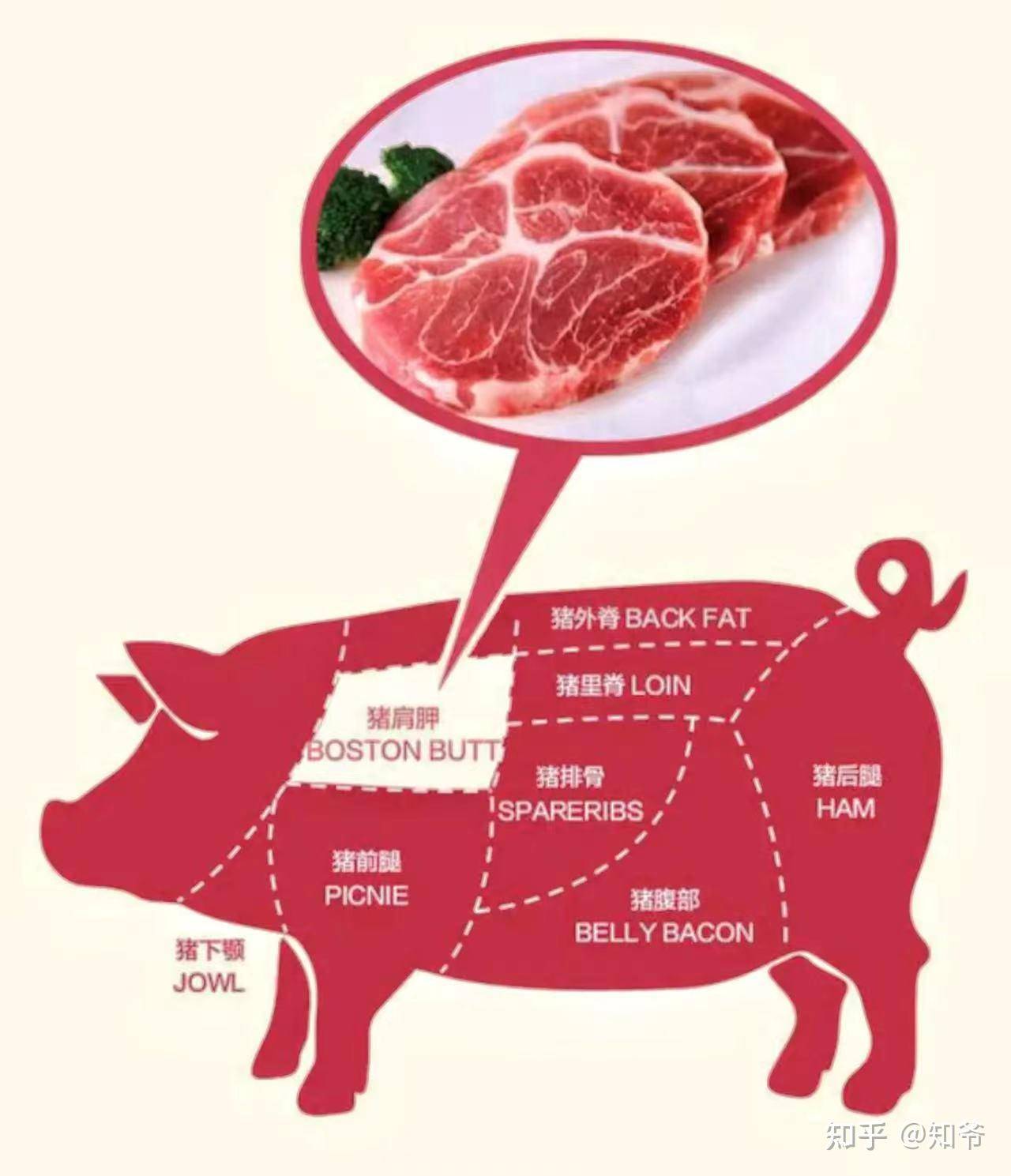 猪哪个部位的肉最好吃？  第19张