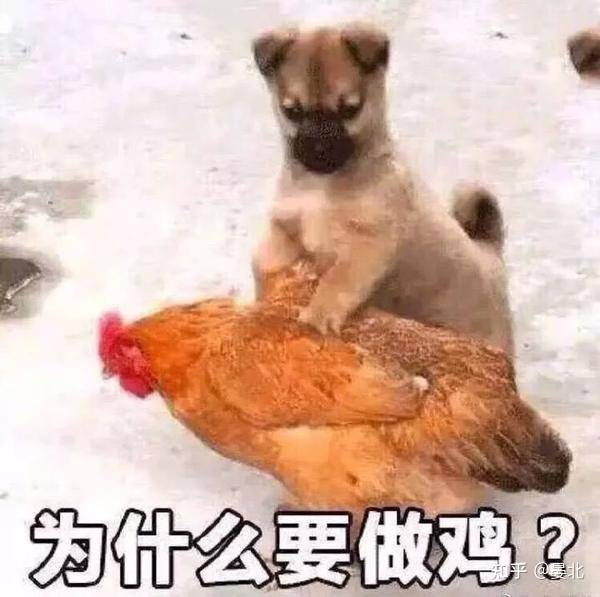 简历中兴趣爱好是否有必要写？哪些爱好能为求职加分？  第2张