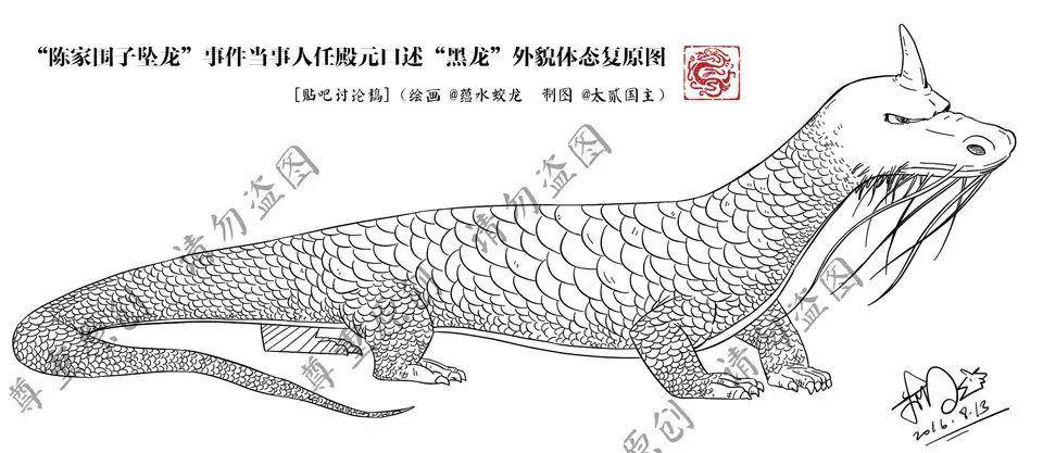 为什么许多专家一定要否认龙的存在？  第3张