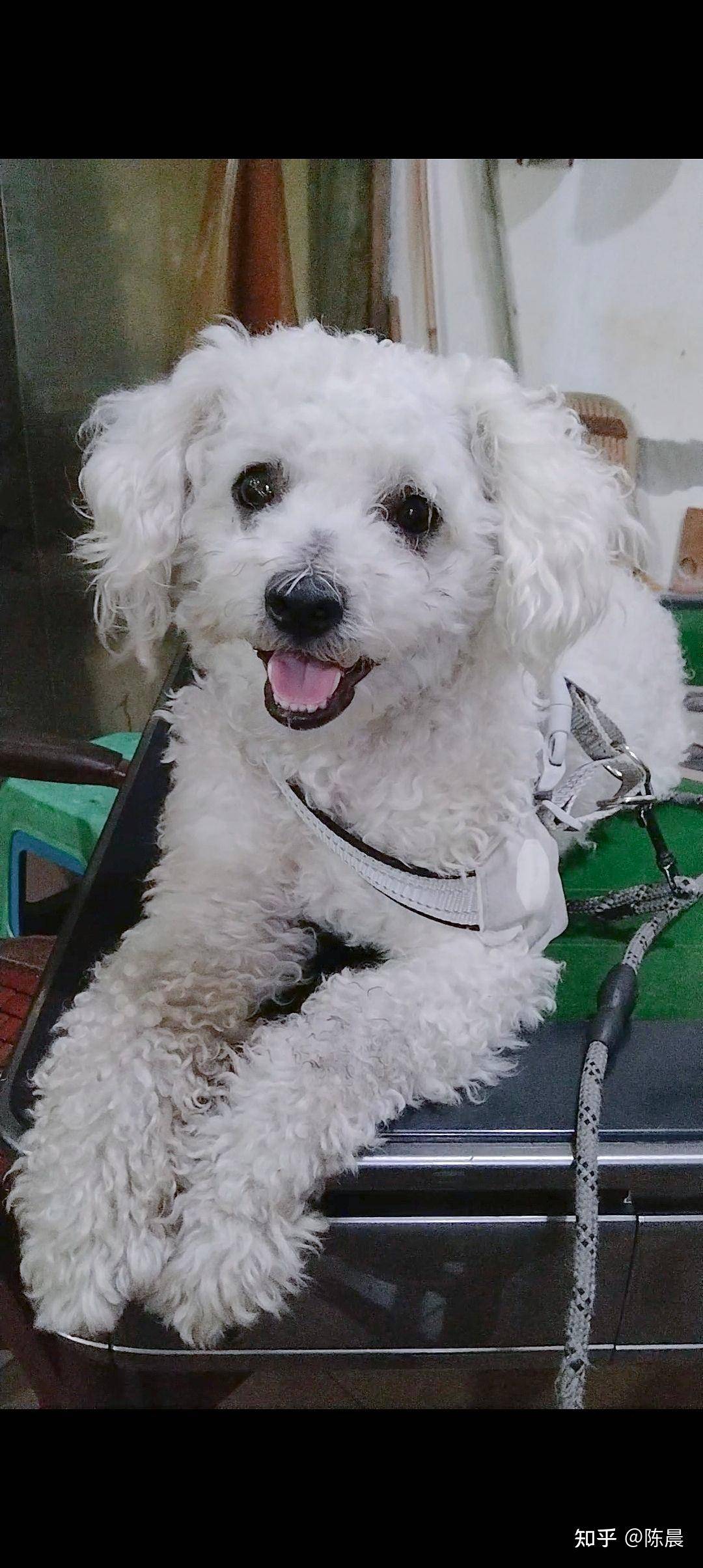 肾衰竭都有什么症状？  第5张