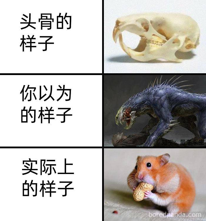 为什么古生物都长的比较吓人?  第6张