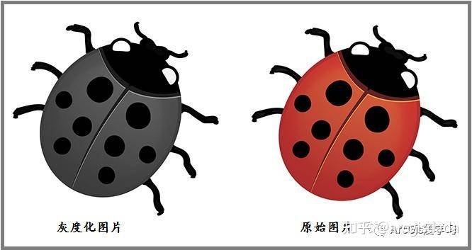 用arcgis可以做哪些好玩的事？  第1张