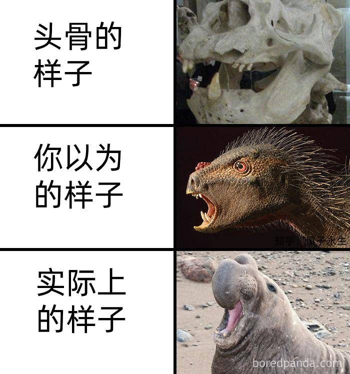 为什么古生物都长的比较吓人?  第11张