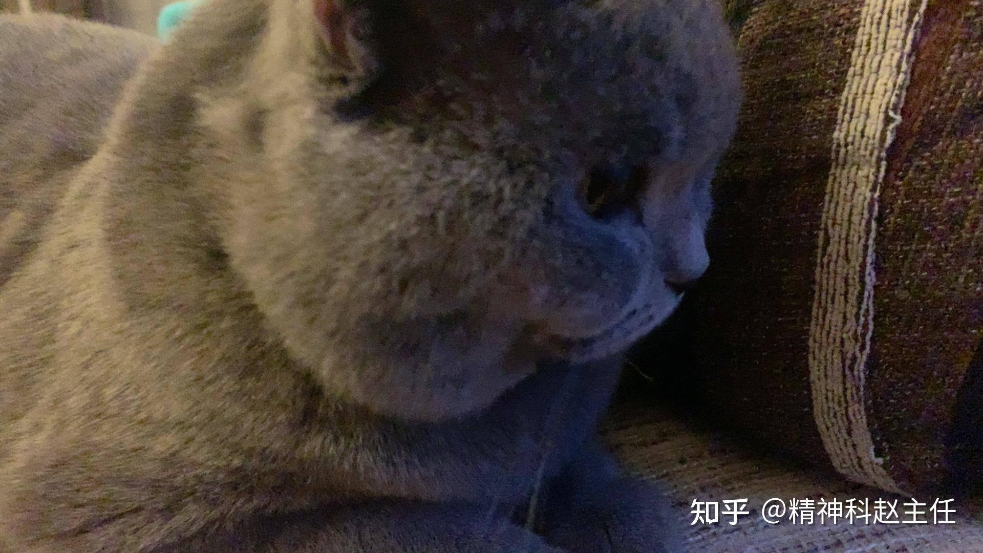 在武汉的你正过着怎样的生活?  第1张