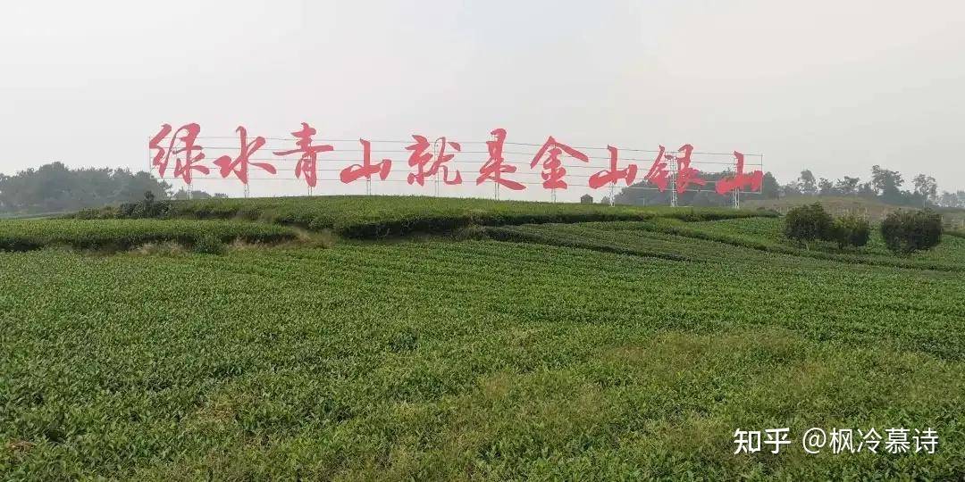 有没有专业人士来解读一下这次的中央一号文件？  第5张