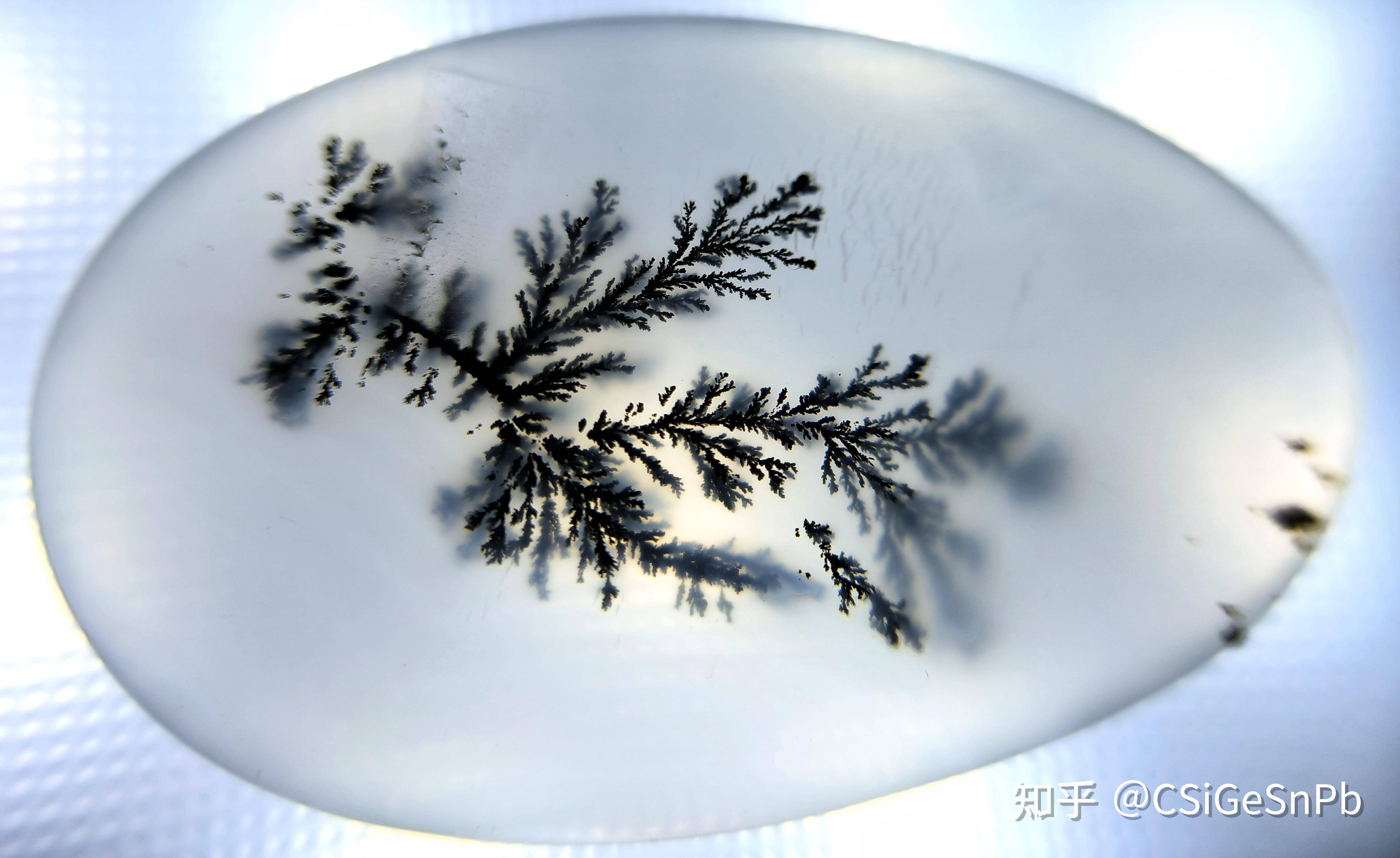 想要奖励学生，想发一些他们没见过的东西，有什么好的选择呢？求助万能的知友？  第21张
