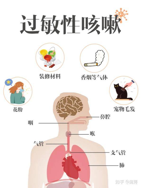 过敏可以有多严重？  第1张