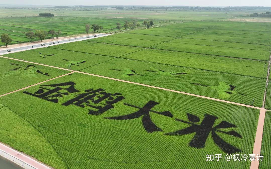 有没有专业人士来解读一下这次的中央一号文件？  第1张