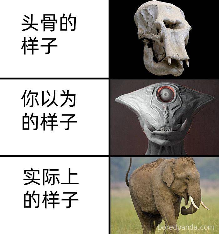 为什么古生物都长的比较吓人?  第9张
