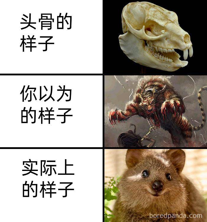 为什么古生物都长的比较吓人?  第10张